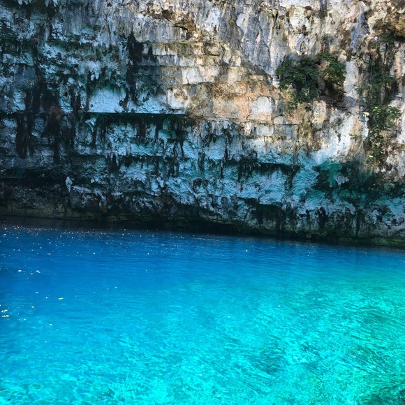 Meet your Posher, Ava - Picture 1 of 1